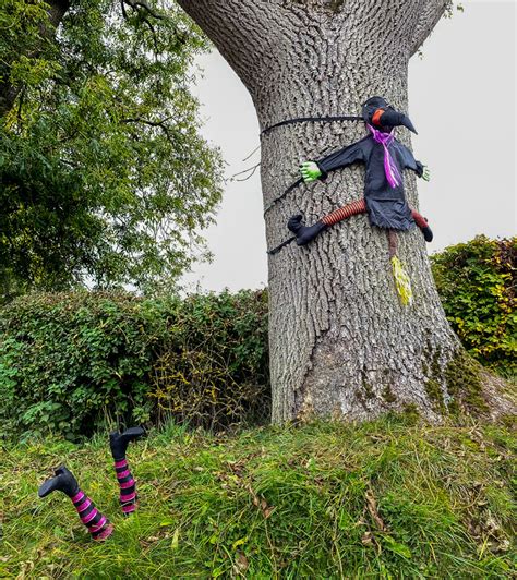 Witch's Flying Lesson Takes an Unexpected Turn with Tree Crash